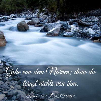 Picture 03 - Sprüche 14:7 LUTH1912 - Gehe von dem Narren; denn du lernst nichts von - Bible Verse Picture