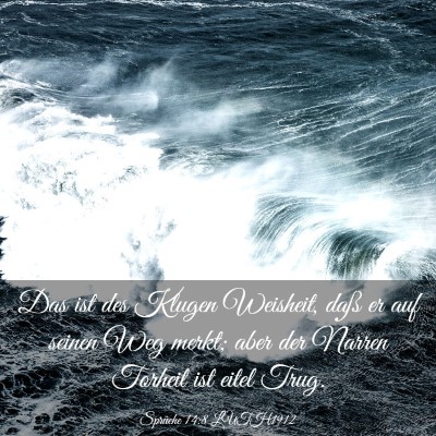 Picture 03 - Sprüche 14:8 LUTH1912 - Das ist des Klugen Weisheit, daß er auf seinen - Bible Verse Picture