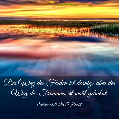 Picture 03 - Sprüche 15:19 LUTH1912 - Der Weg des Faulen ist dornig; aber der Weg des - Bible Verse Picture
