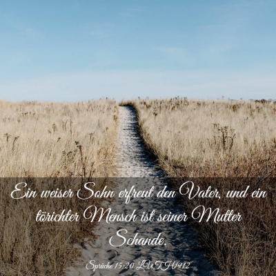 Picture 03 - Sprüche 15:20 LUTH1912 - Ein weiser Sohn erfreut den Vater, und ein - Bible Verse Picture