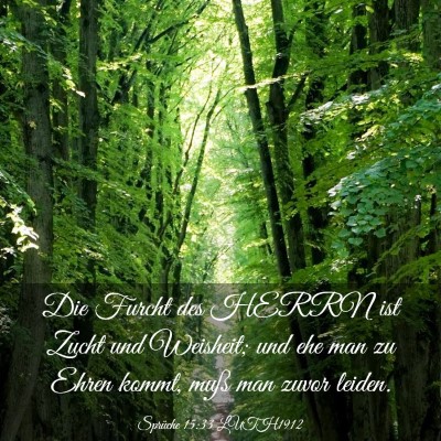 Picture 03 - Sprüche 15:33 LUTH1912 - Die Furcht des HERRN ist Zucht und Weisheit; und - Bible Verse Picture