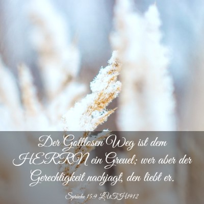 Picture 03 - Sprüche 15:9 LUTH1912 - Der Gottlosen Weg ist dem HERRN ein Greuel; wer - Bible Verse Picture