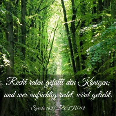 Picture 03 - Sprüche 16:13 LUTH1912 - Recht raten gefällt den Königen; und wer - Bible Verse Picture