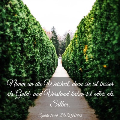 Picture 03 - Sprüche 16:16 LUTH1912 - Nimm an die Weisheit, denn sie ist besser als - Bible Verse Picture