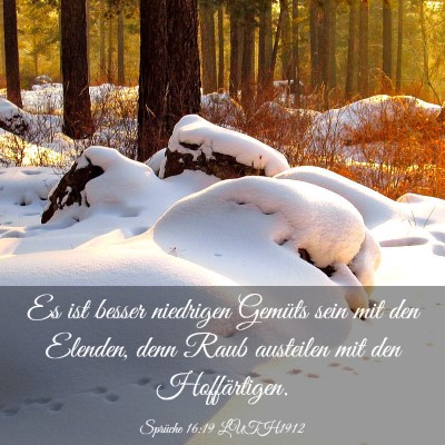 Picture 03 - Sprüche 16:19 LUTH1912 - Es ist besser niedrigen Gemüts sein mit den - Bible Verse Picture
