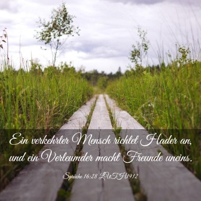 Picture 03 - Sprüche 16:28 LUTH1912 - Ein verkehrter Mensch richtet Hader an, und ein - Bible Verse Picture