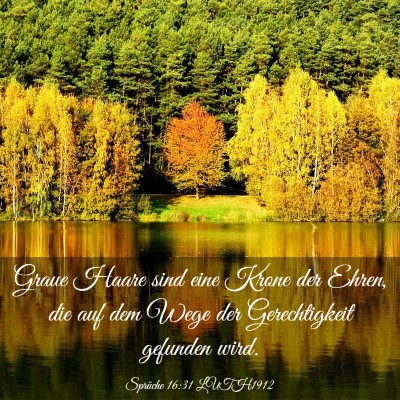 Picture 03 - Sprüche 16:31 LUTH1912 - Graue Haare sind eine Krone der Ehren, die auf - Bible Verse Picture