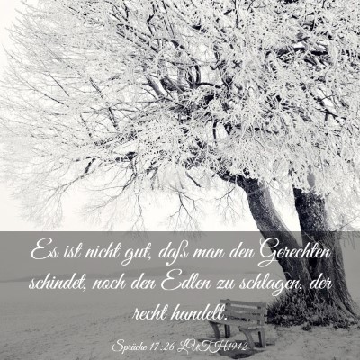 Picture 03 - Sprüche 17:26 LUTH1912 - Es ist nicht gut, daß man den Gerechten - Bible Verse Picture