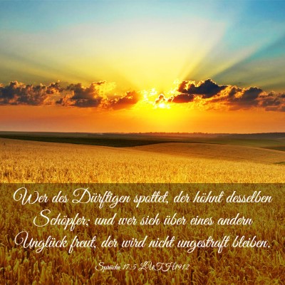 Picture 03 - Sprüche 17:5 LUTH1912 - Wer des Dürftigen spottet, der höhnt desselben - Bible Verse Picture