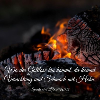 Picture 03 - Sprüche 18:3 LUTH1912 - Wo der Gottlose hin kommt, da kommt Verachtung - Bible Verse Picture