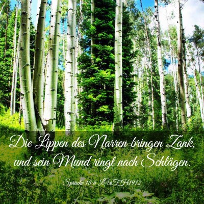 Picture 03 - Sprüche 18:6 LUTH1912 - Die Lippen des Narren bringen Zank, und sein Mund - Bible Verse Picture