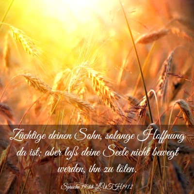 Picture 03 - Sprüche 19:18 LUTH1912 - Züchtige deinen Sohn, solange Hoffnung da ist; - Bible Verse Picture