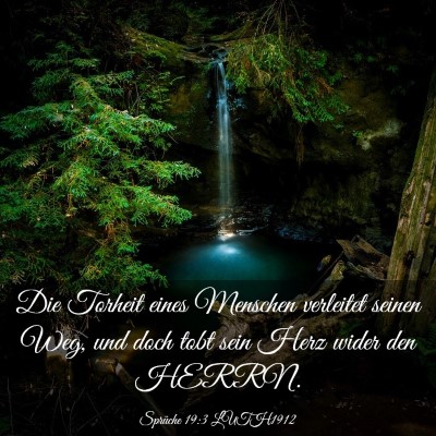 Picture 03 - Sprüche 19:3 LUTH1912 - Die Torheit eines Menschen verleitet seinen Weg, - Bible Verse Picture