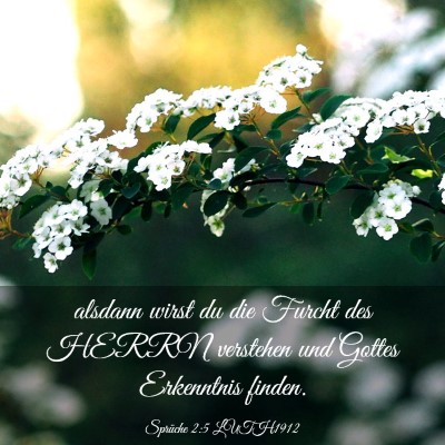 Picture 03 - Sprüche 2:5 LUTH1912 - alsdann wirst du die Furcht des HERRN verstehen - Bible Verse Picture