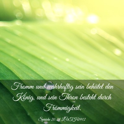 Picture 03 - Sprüche 20:28 LUTH1912 - Fromm und wahrhaftig sein behütet den König, - Bible Verse Picture