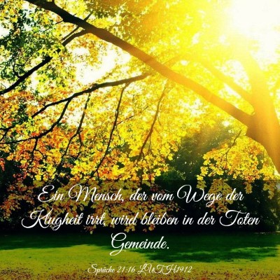 Picture 03 - Sprüche 21:16 LUTH1912 - Ein Mensch, der vom Wege der Klugheit irrt, wird - Bible Verse Picture