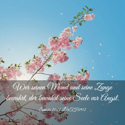 Picture 03 - Sprüche 21:23 LUTH1912 - Wer seinen Mund und seine Zunge bewahrt, der - Bible Verse Picture
