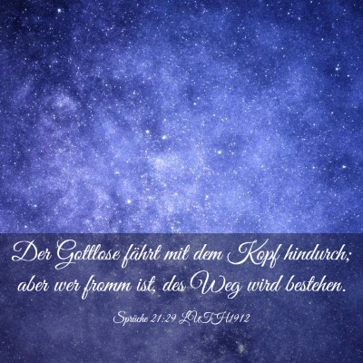 Picture 03 - Sprüche 21:29 LUTH1912 - Der Gottlose fährt mit dem Kopf hindurch; aber - Bible Verse Picture