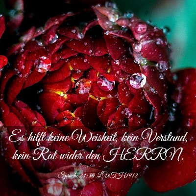 Picture 03 - Sprüche 21:30 LUTH1912 - Es hilft keine Weisheit, kein Verstand, kein Rat - Bible Verse Picture