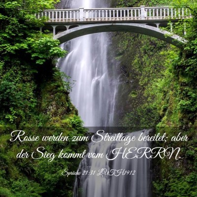 Picture 03 - Sprüche 21:31 LUTH1912 - Rosse werden zum Streittage bereitet; aber der - Bible Verse Picture