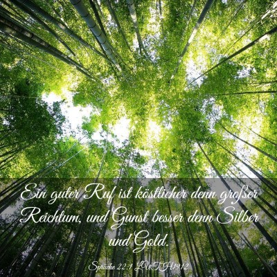 Picture 03 - Sprüche 22:1 LUTH1912 - Ein guter Ruf ist köstlicher denn großer - Bible Verse Picture