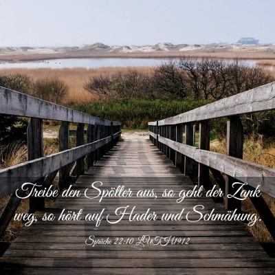Picture 03 - Sprüche 22:10 LUTH1912 - Treibe den Spötter aus, so geht der Zank weg, so - Bible Verse Picture