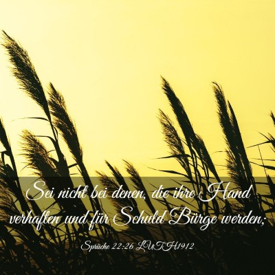 Picture 03 - Sprüche 22:26 LUTH1912 - Sei nicht bei denen, die ihre Hand verhaften und - Bible Verse Picture