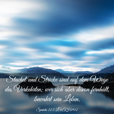 Picture 03 - Sprüche 22:5 LUTH1912 - Stachel und Stricke sind auf dem Wege des - Bible Verse Picture