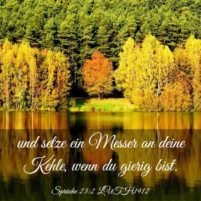 Picture 03 - Sprüche 23:2 LUTH1912 - und setze ein Messer an deine Kehle, wenn du - Bible Verse Picture