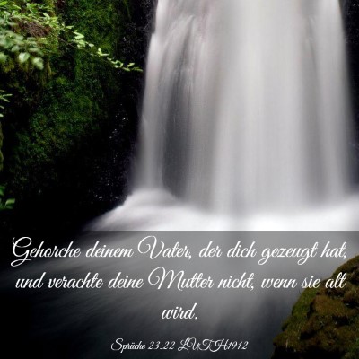 Picture 03 - Sprüche 23:22 LUTH1912 - Gehorche deinem Vater, der dich gezeugt hat, und - Bible Verse Picture