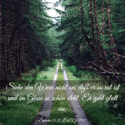 Picture 03 - Sprüche 23:31 LUTH1912 - Siehe den Wein nicht an, daß er so rot ist und - Bible Verse Picture