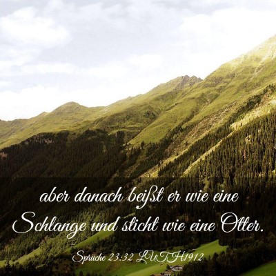 Picture 03 - Sprüche 23:32 LUTH1912 - aber danach beißt er wie eine Schlange und - Bible Verse Picture