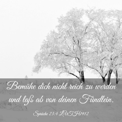 Picture 03 - Sprüche 23:4 LUTH1912 - Bemühe dich nicht reich zu werden und laß ab - Bible Verse Picture