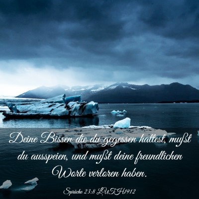 Picture 03 - Sprüche 23:8 LUTH1912 - Deine Bissen die du gegessen hattest, mußt du - Bible Verse Picture