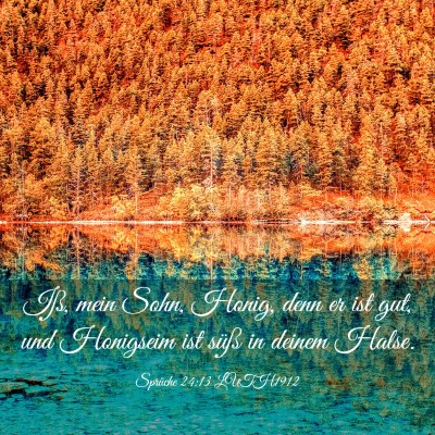 Picture 03 - Sprüche 24:13 LUTH1912 - Iß, mein Sohn, Honig, denn er ist gut, und - Bible Verse Picture