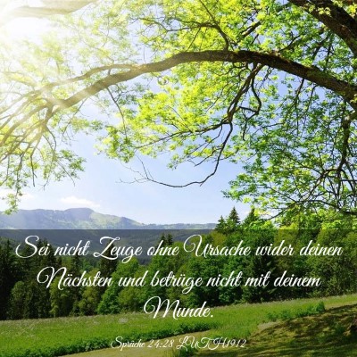 Picture 03 - Sprüche 24:28 LUTH1912 - Sei nicht Zeuge ohne Ursache wider deinen - Bible Verse Picture