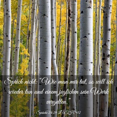 Picture 03 - Sprüche 24:29 LUTH1912 - Sprich nicht: “Wie man mir tut, so will ich - Bible Verse Picture