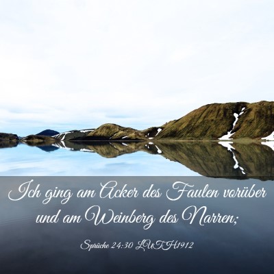 Picture 03 - Sprüche 24:30 LUTH1912 - Ich ging am Acker des Faulen vorüber und am - Bible Verse Picture