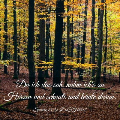 Picture 03 - Sprüche 24:32 LUTH1912 - Da ich das sah, nahm ich's zu Herzen und schaute - Bible Verse Picture