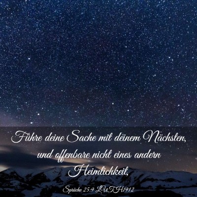 Picture 03 - Sprüche 25:9 LUTH1912 - Führe deine Sache mit deinem Nächsten, und - Bible Verse Picture