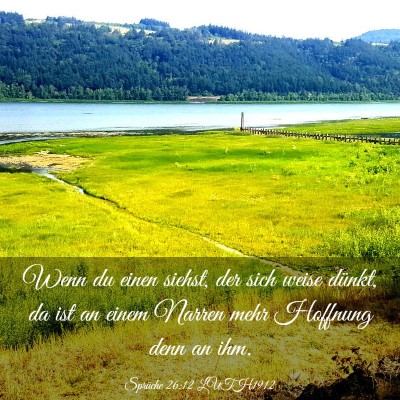 Picture 03 - Sprüche 26:12 LUTH1912 - Wenn du einen siehst, der sich weise dünkt, da - Bible Verse Picture