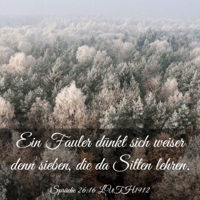 Picture 03 - Sprüche 26:16 LUTH1912 - Ein Fauler dünkt sich weiser denn sieben, die da - Bible Verse Picture