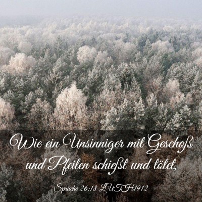 Picture 03 - Sprüche 26:18 LUTH1912 - Wie ein Unsinniger mit Geschoß und Pfeilen - Bible Verse Picture