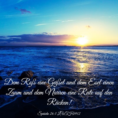 Picture 03 - Sprüche 26:3 LUTH1912 - Dem Roß eine Geißel und dem Esel einen Zaum und - Bible Verse Picture