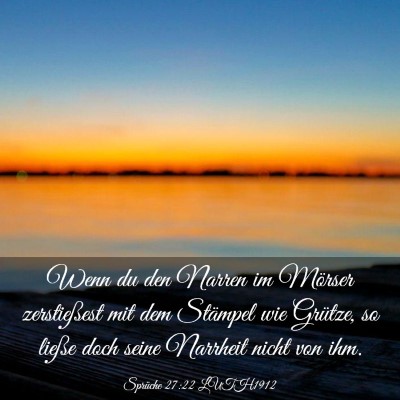 Picture 03 - Sprüche 27:22 LUTH1912 - Wenn du den Narren im Mörser zerstießest mit - Bible Verse Picture