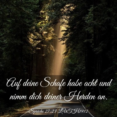 Picture 03 - Sprüche 27:23 LUTH1912 - Auf deine Schafe habe acht und nimm dich deiner - Bible Verse Picture