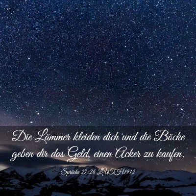 Picture 03 - Sprüche 27:26 LUTH1912 - Die Lämmer kleiden dich und die Böcke geben dir - Bible Verse Picture
