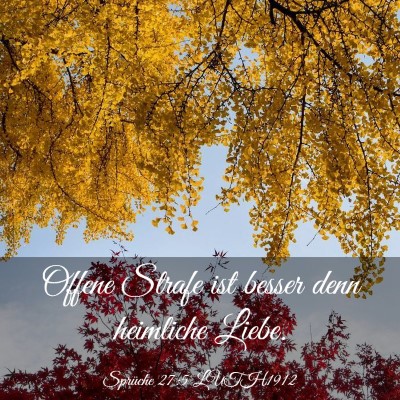 Picture 03 - Sprüche 27:5 LUTH1912 - Offene Strafe ist besser denn heimliche - Bible Verse Picture
