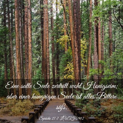 Picture 03 - Sprüche 27:7 LUTH1912 - Eine satte Seele zertritt wohl Honigseim; aber - Bible Verse Picture