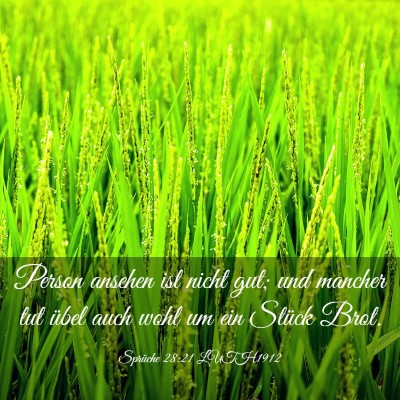 Picture 03 - Sprüche 28:21 LUTH1912 - Person ansehen ist nicht gut; und mancher tut - Bible Verse Picture